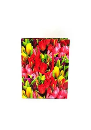 25 Сумка подар.бумажная 00019H (12*15*5,5)