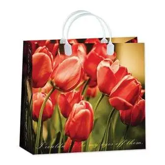 9427 Сумка пластик. BAM 81 (30x30см) средняя Цветы*20