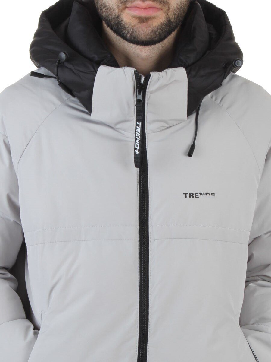 D6855 LT. GRAY Куртка мужская зимняя (200 гр. холлофайбер)