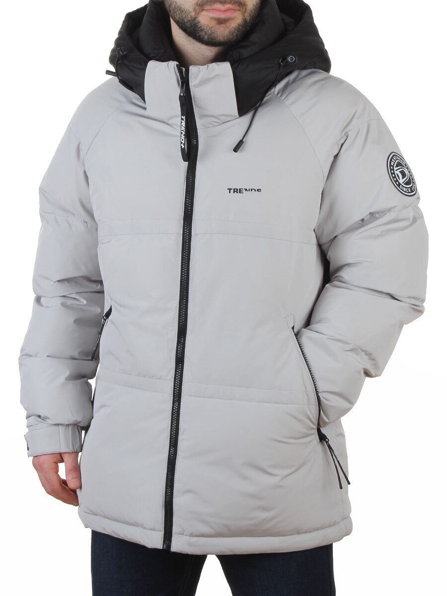 D6855 LT. GRAY Куртка мужская зимняя (200 гр. холлофайбер)