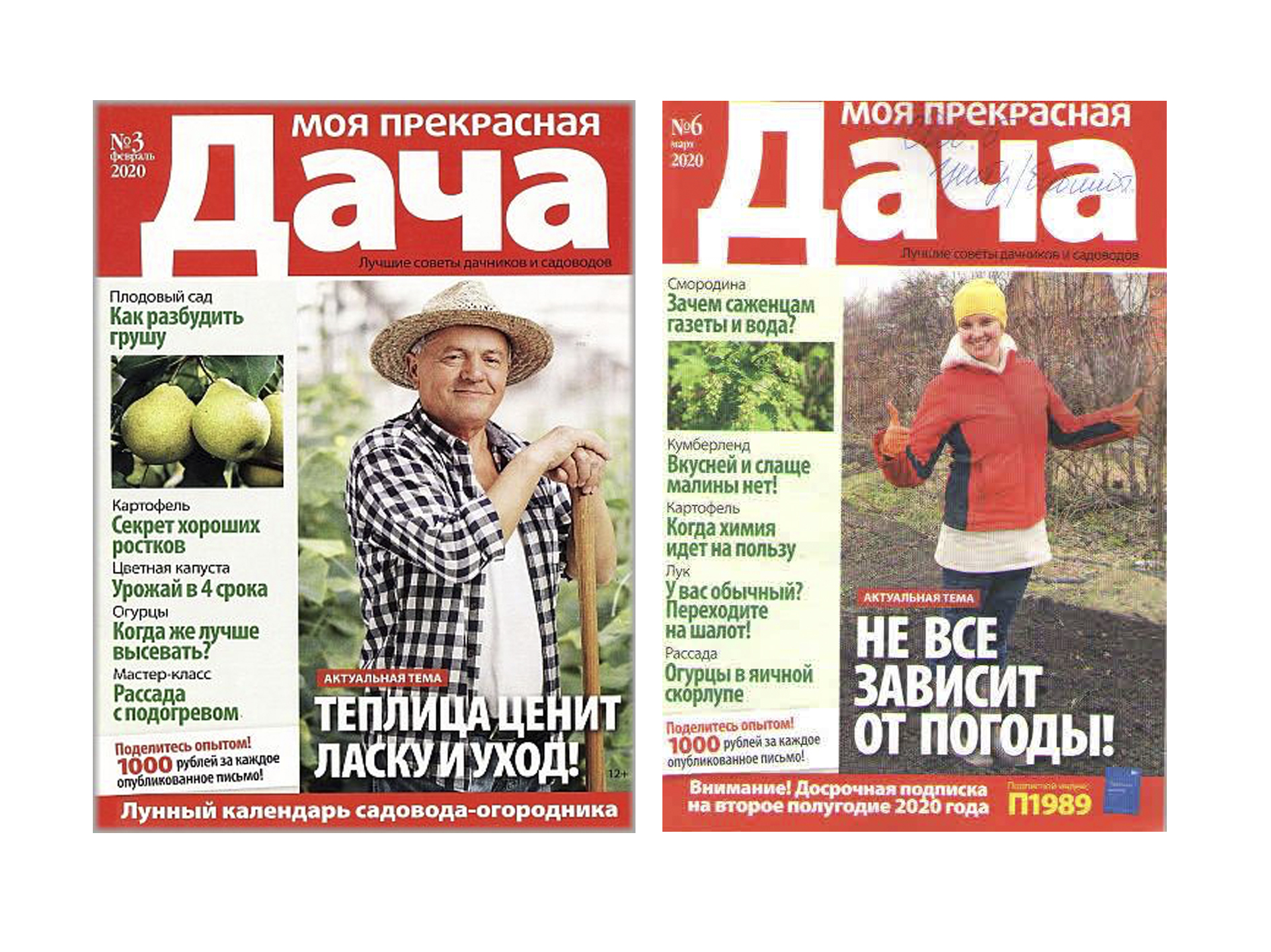 Моя прекрасная дача 24*25