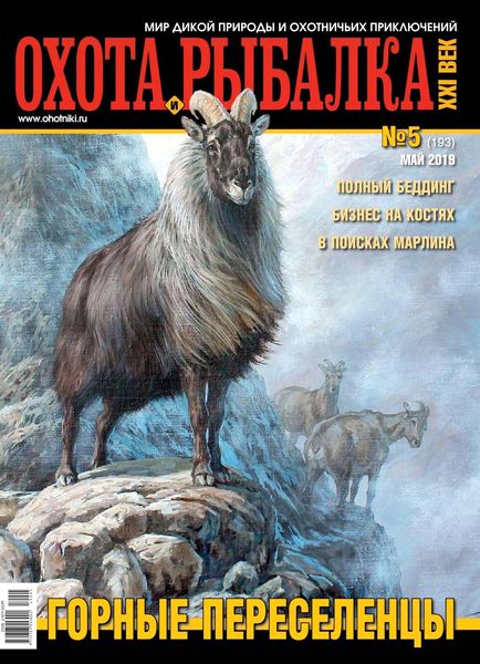 Охота и рыбалка11*25