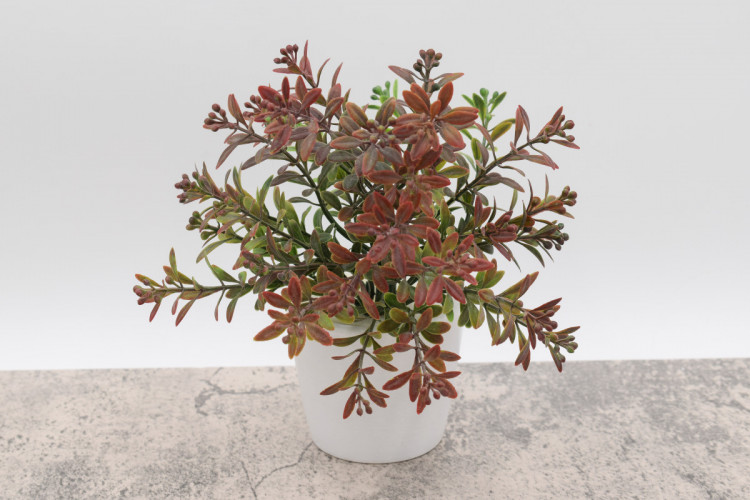 75руб.136руб.Два мини кустика высотой 20 см. (пластмасса) БЕЗ ГОРШКА. 507900004884/4