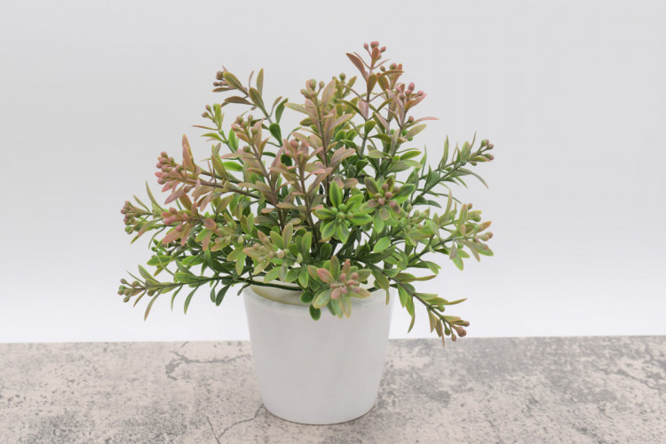 75руб.136руб.Два мини кустика высотой 20 см. (пластмасса) БЕЗ ГОРШКА. 507900004884/2