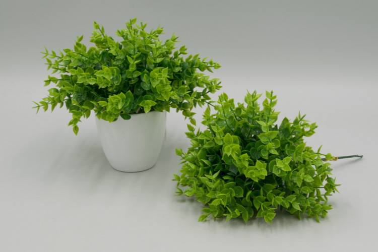 75руб.140руб.Пышный мини кустик высотой 20 см. (пластмасса) БЕЗ ГОРШКА. 507900004439/2