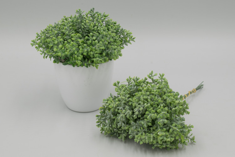 55руб.136руб.Кудрявый мини кустик высотой 20 см. (пластмасса) БЕЗ ГОРШКА. 507900004356/2