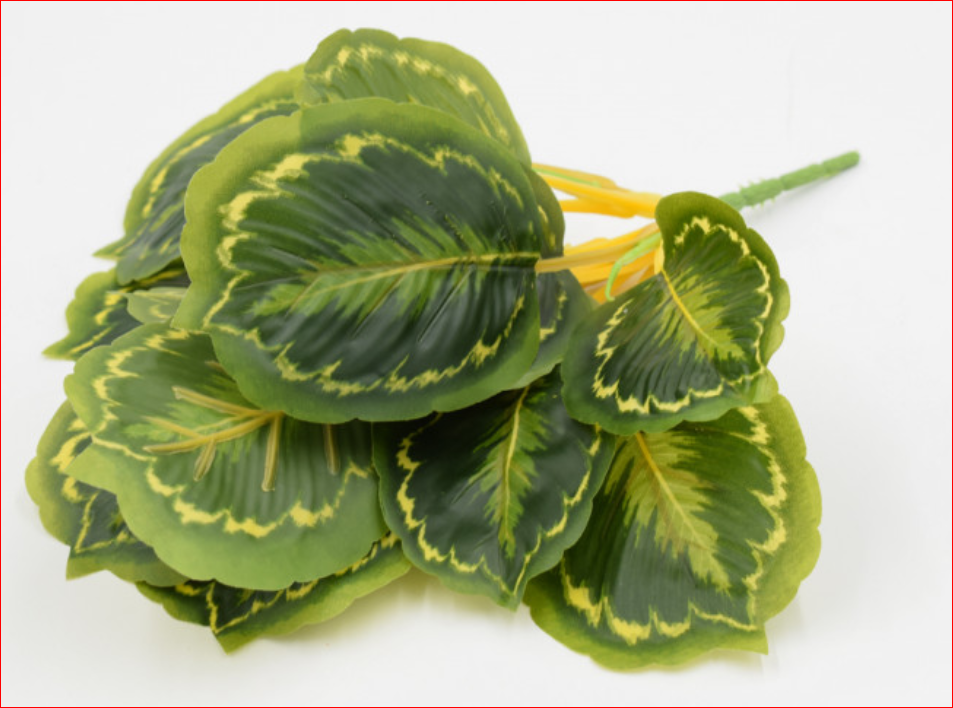 Веточка больших, ярких листьев (высота 30 см.). 675400004239