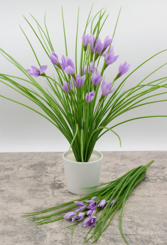 Кустик крокусовых высотой 44 см. БЕЗ ГОРШКА. 507900006369/3