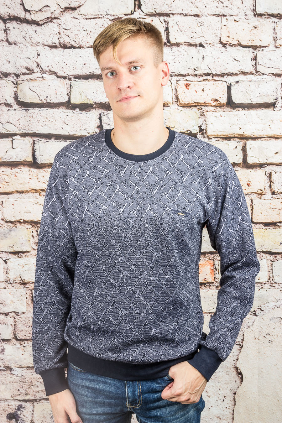 Толстовка 3033/1 лиловый FIBAK