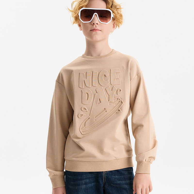 BFN3371/1 толстовка для мальчиков (1 шт в кор.)