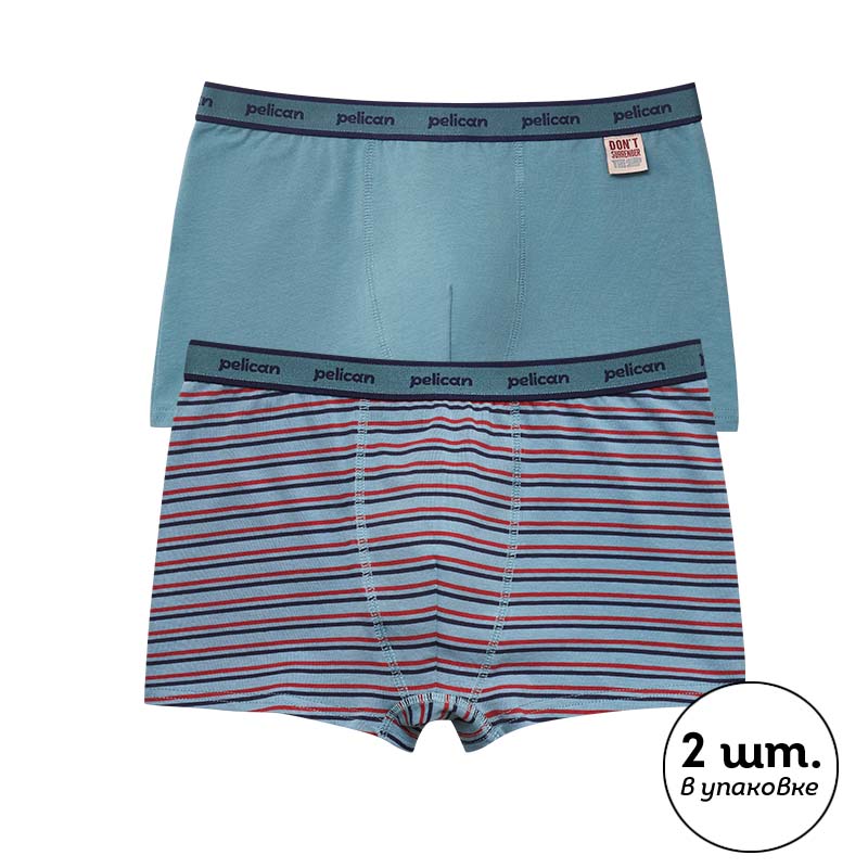 BUHB3378(2) набор трусов для мальчиков (2 шт в кор.)
