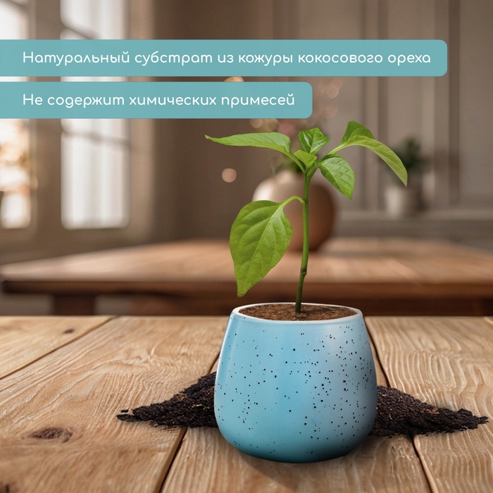 Таблетки кокосовые, для рассады, d=3.5 см, без оболочки, набор 10 шт., Greengo