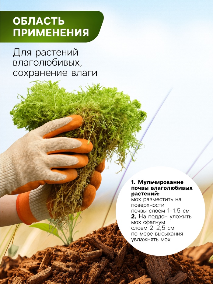 Мох сфагнум для террариумов «Рецепты дедушки Никиты» 3 л