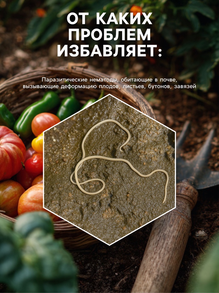 Средство от болезней растений «Флагрин-Д» (Нематодин), 10 г