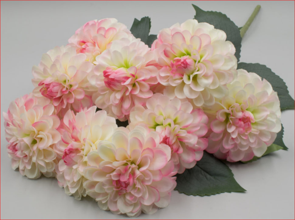 Георгины (высота 60 см.), 9 цветков диаметром 11 см. 67900430006446/4