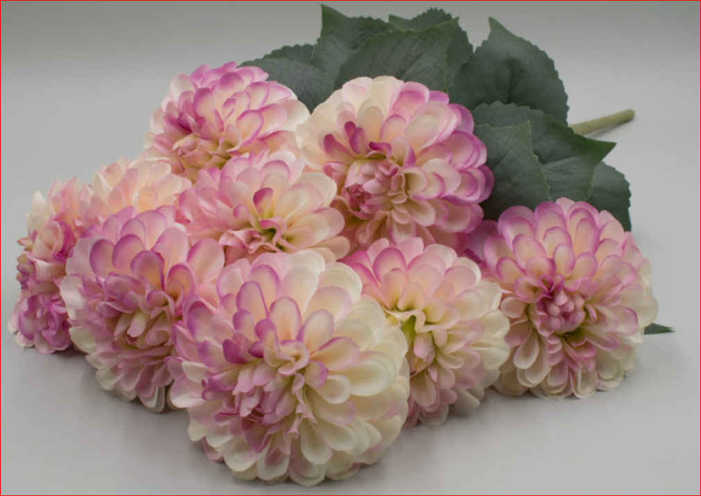 Георгины (высота 60 см.), 9 цветков диаметром 11 см. 67900430006446/1