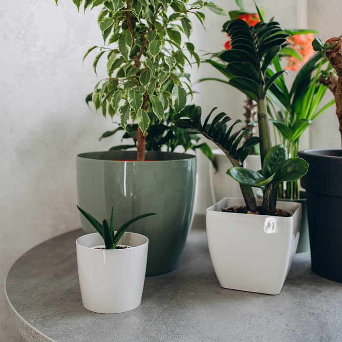 Кашпо для цветов, d=21 см, 5.2 л, пластик, зелёное, шалфей