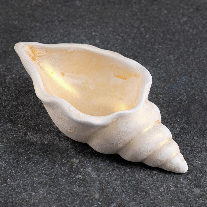 Декоративное кашпо для цветов «Ракушка», 50 мл, 13×6×3 см, гипс, бежевое