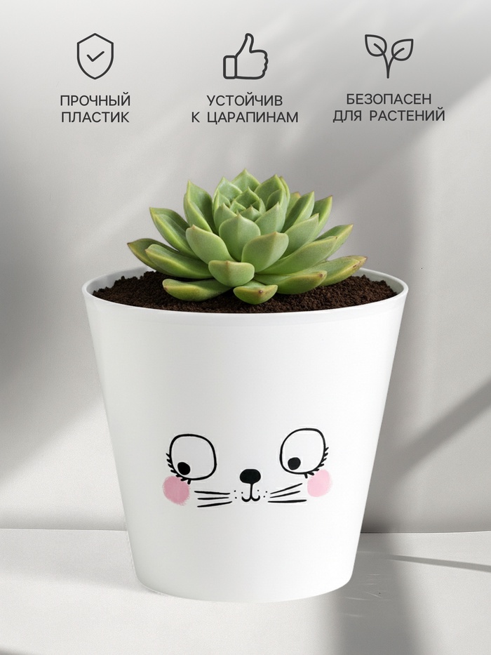 Кашпо для цветов «Мордочка», 800 мл, d=12 см, h=11 см, пластиковое