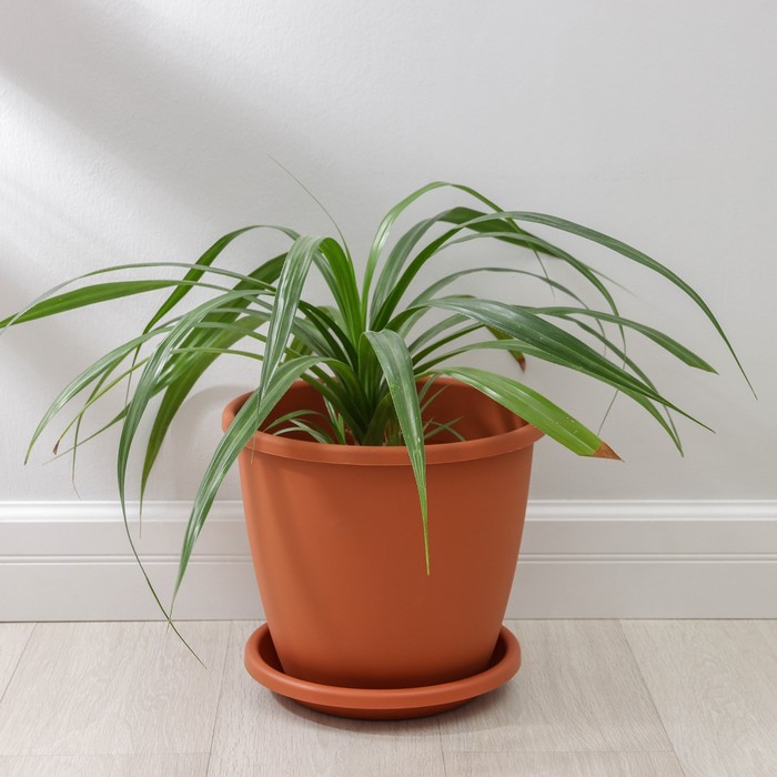 Горшок для цветов с поддоном Альтернатива «Афина», 11 л, пластиковый, коричневый