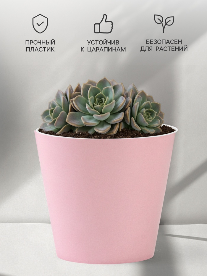 Кашпо для цветов «Цвет», 800 мл, d=12 см, h=11 см, пластиковое