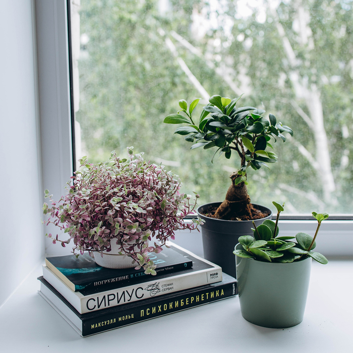 Кашпо для цветов, d=12.5 см, 1 л, пластик, зелёное, шалфей