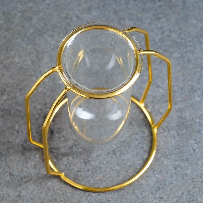 Декоративное кашпо для цветов «Пробирка», 210 мл, d=5 см, h=12 см, стеклянное, на золотистой подставке