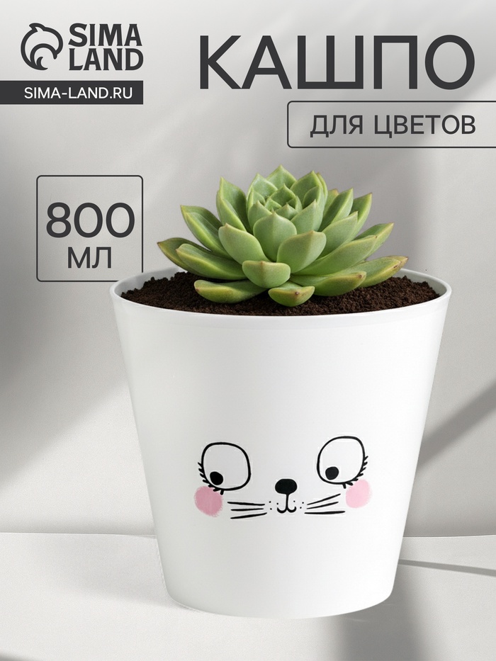 Кашпо для цветов «Мордочка», 800 мл, d=12 см, h=11 см, пластиковое