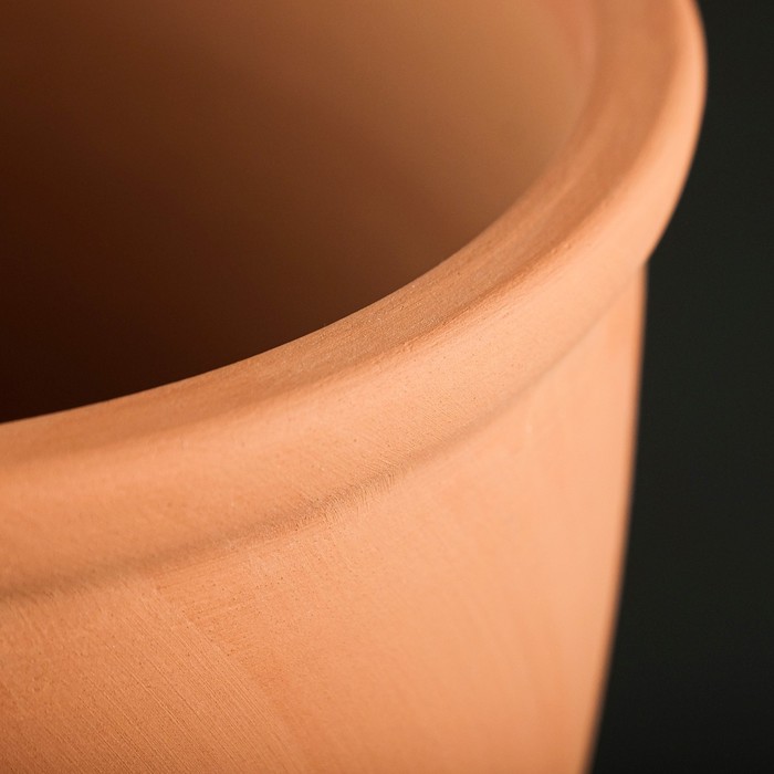 Горшок для цветов «Терра», 3.4 л, d=18.5 см, h=19 см, керамика, с поддоном, цвет терракот