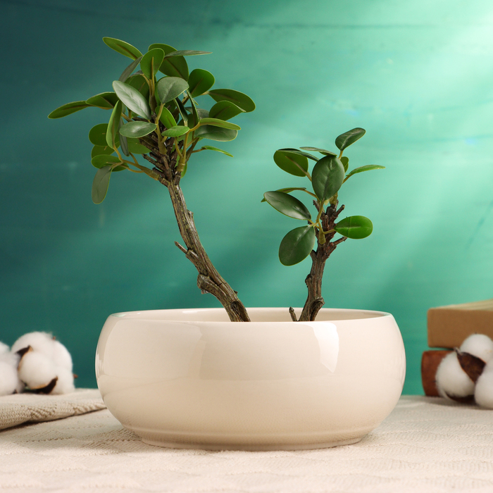 Кашпо - бонсайница «Мира», круглое, 18×18×7 см, белое