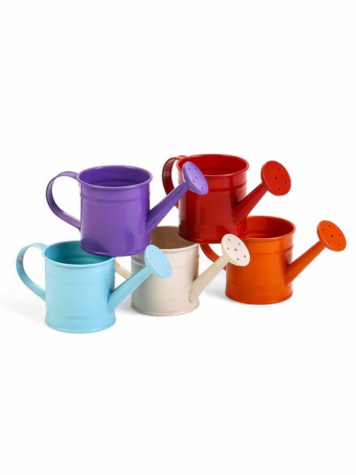 Кашпо «Лейка», 150 мл, металл, МИКС