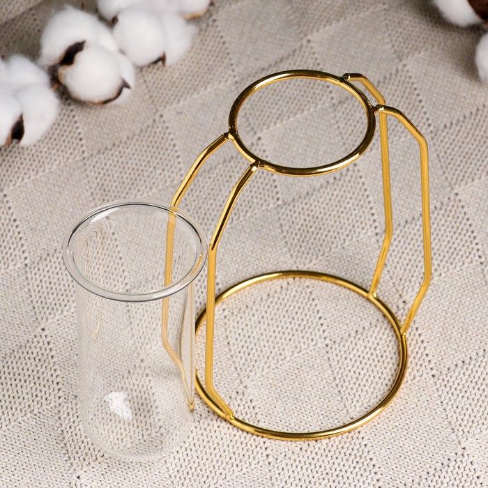 Декоративное кашпо для цветов «Пробирка», 210 мл, d=5 см, h=12 см, стеклянное, на золотистой подставке