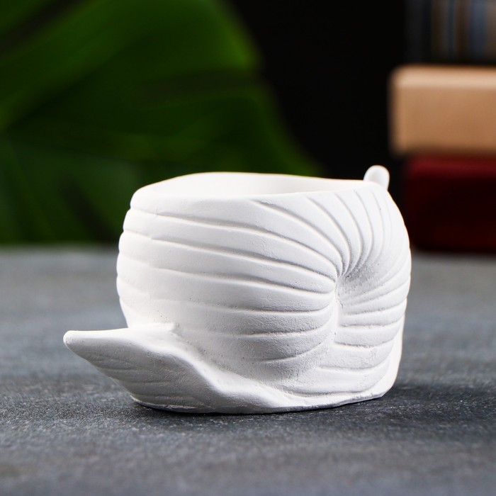 Декоративное кашпо для цветов «Улитка», 100 мл, 11×6×6 см, гипс, белое