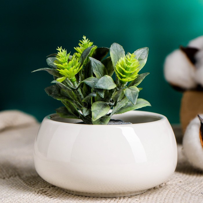 Горшок для цветов «Лайт бонсай», 150 мл, d=7.5 см, h=4.3 см, керамический, белый