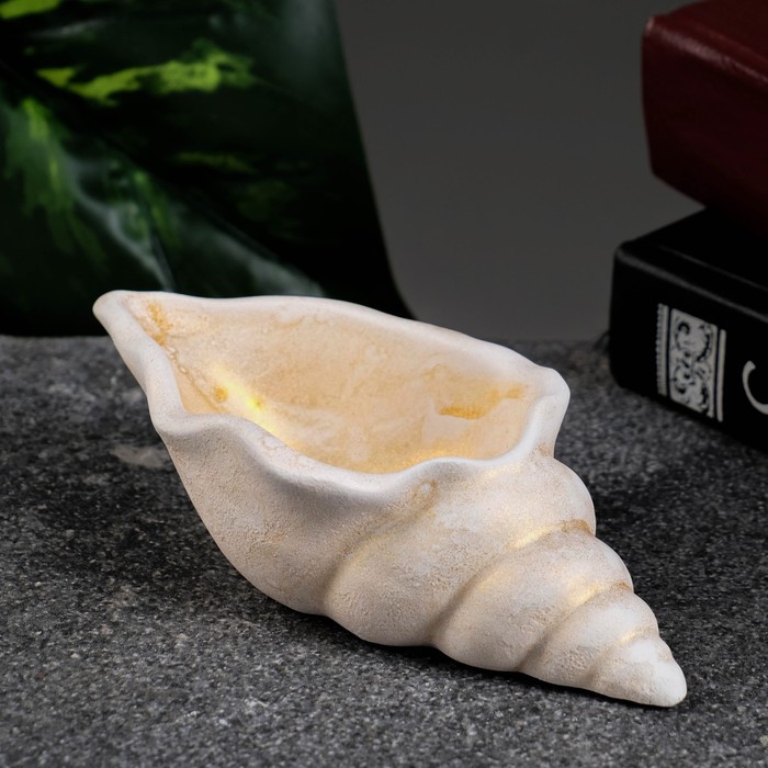 Декоративное кашпо для цветов «Ракушка», 50 мл, 13×6×3 см, гипс, бежевое