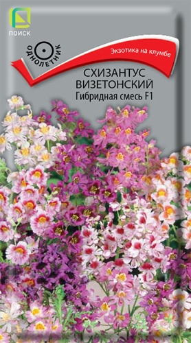 Цветы Схизатнус Гибридная смесь 0,06 г ц/п Поиск (однол.)