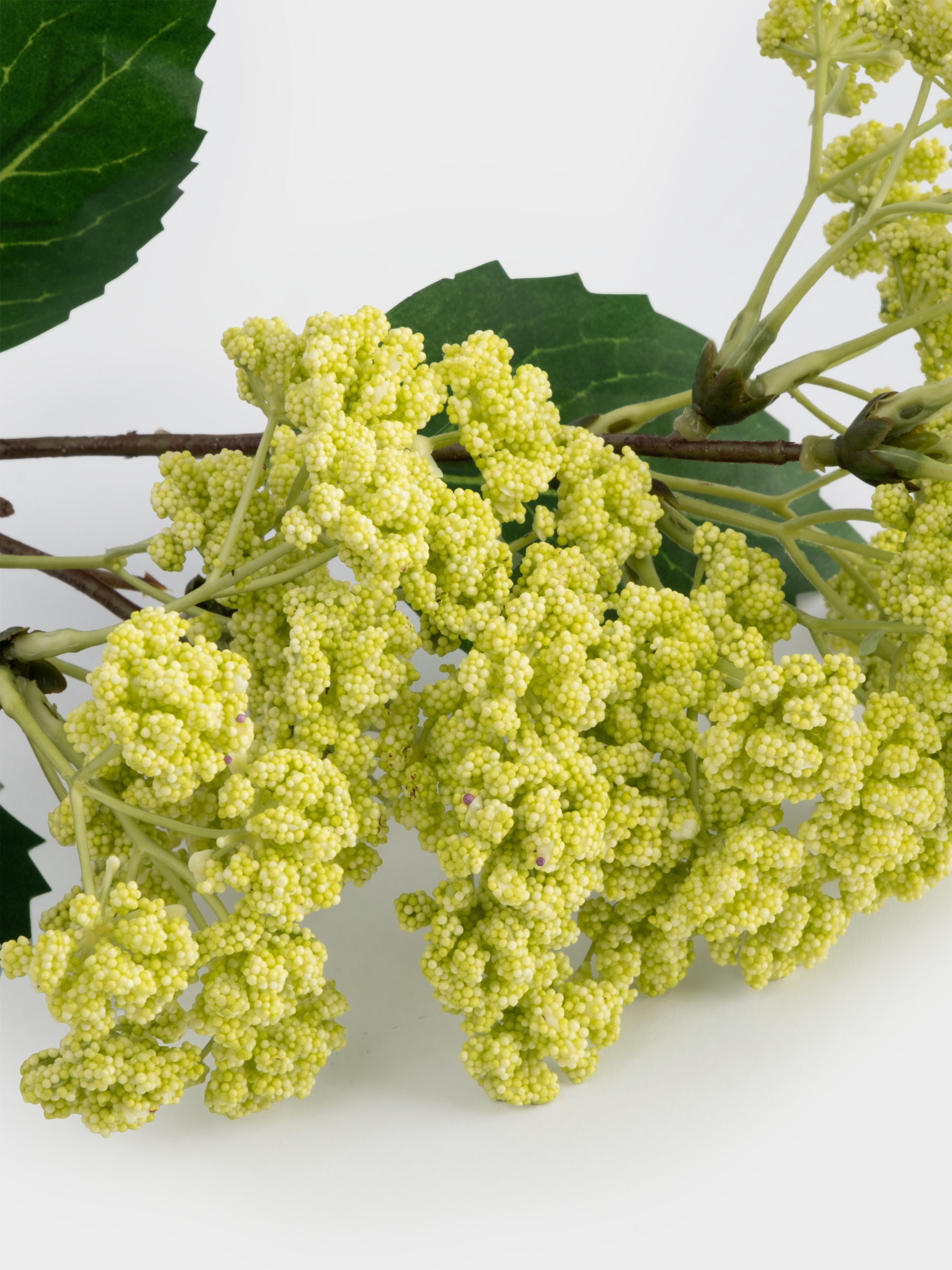 Ветка декоративная, 70 см, полиэтилен/металл, Зеленый цветок, Interior spring