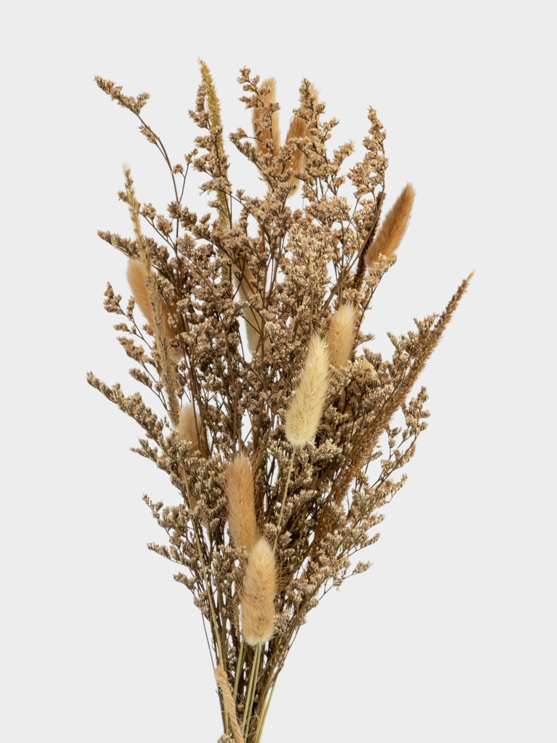 Букет декоративный, 60 см, сухоцветы, Interior spring