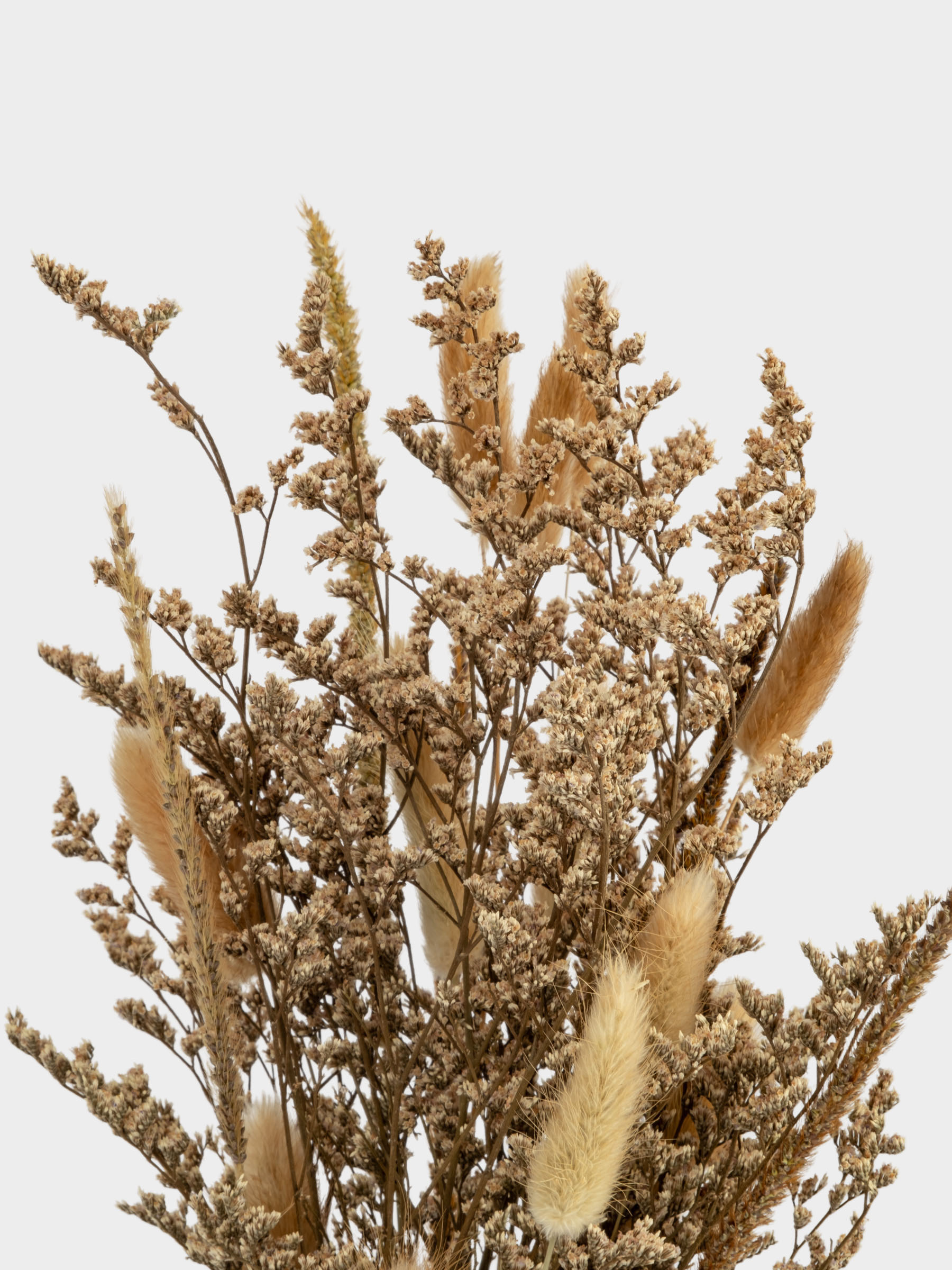 Букет декоративный, 60 см, сухоцветы, Interior spring