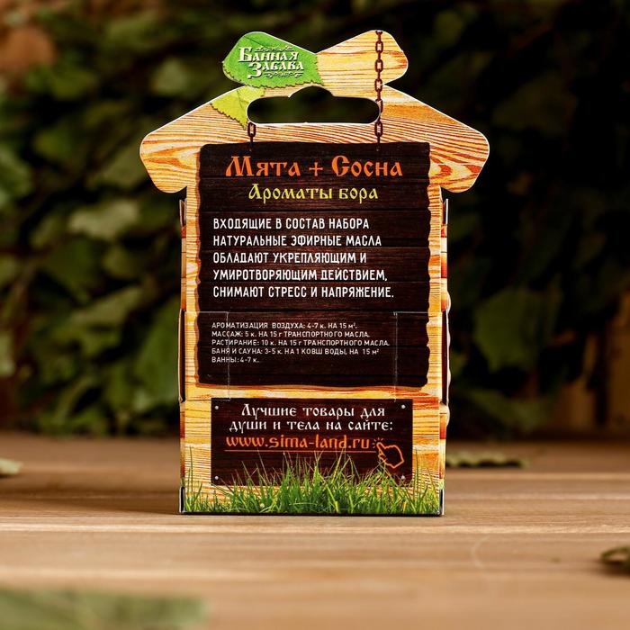 Набор «Мята и сосна» 2 эфирных масла 100% 15 мл