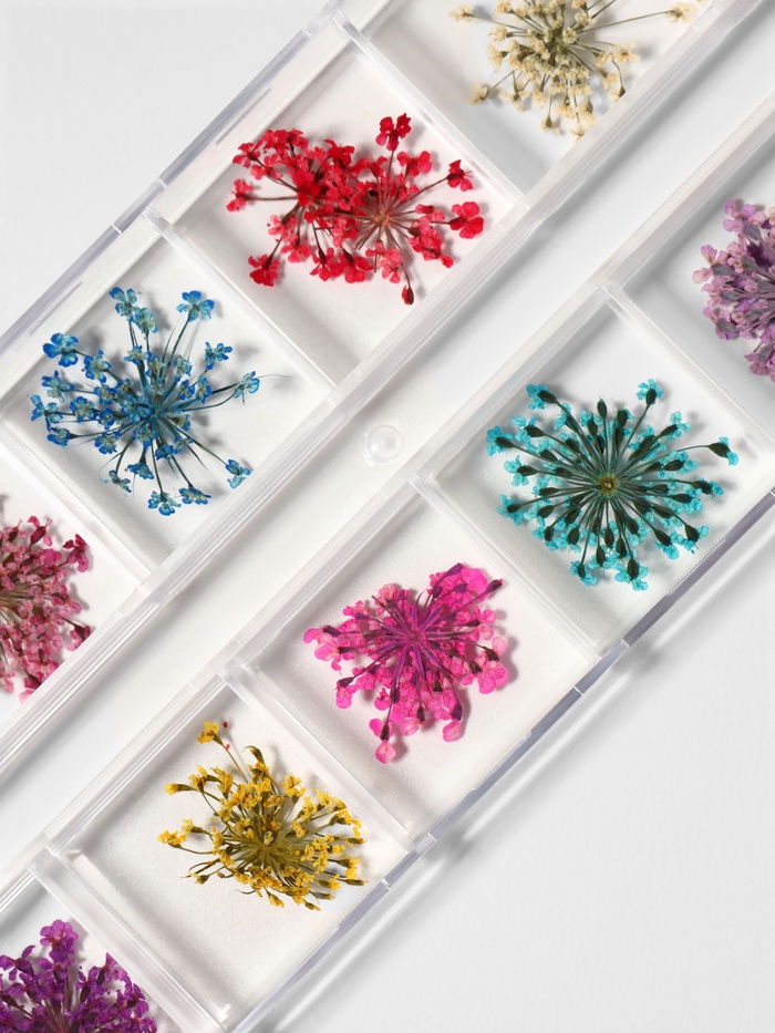 Сухоцветы для декора, 12 видов, в футляре, разноцветные