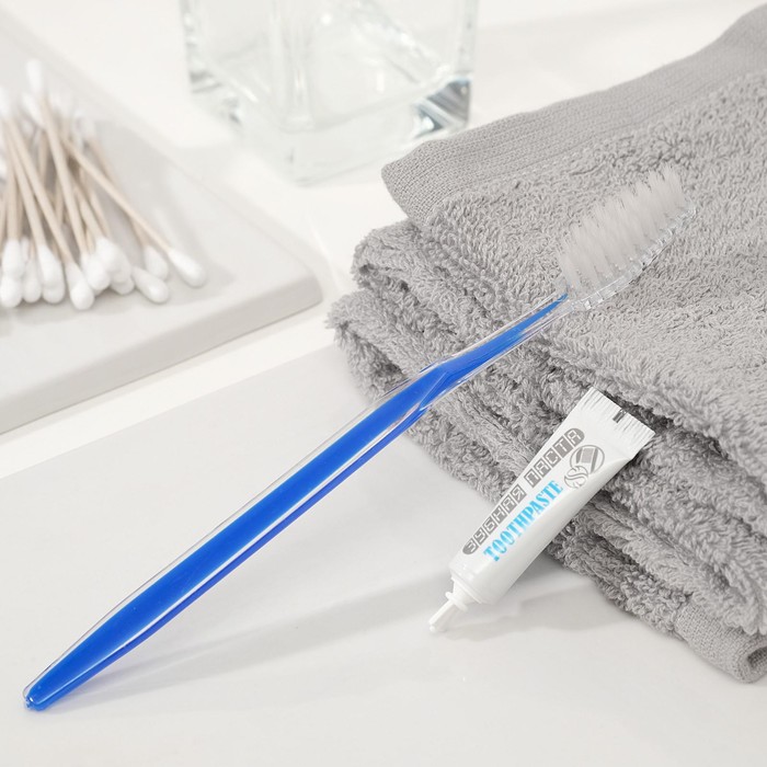 Зубной набор Standart: зубная щетка, 17 см+зубная паста, 3 г, бокс 500 шт.