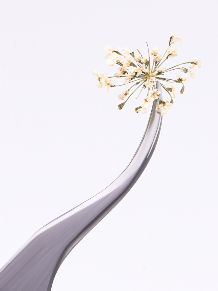 Сухоцветы для декора «Яркость», в футляре, МИКС