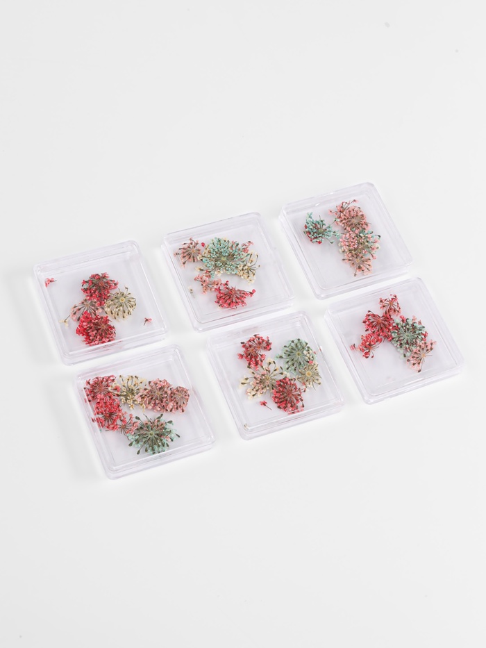 Сухоцветы для декора «Яркость», в футляре, МИКС