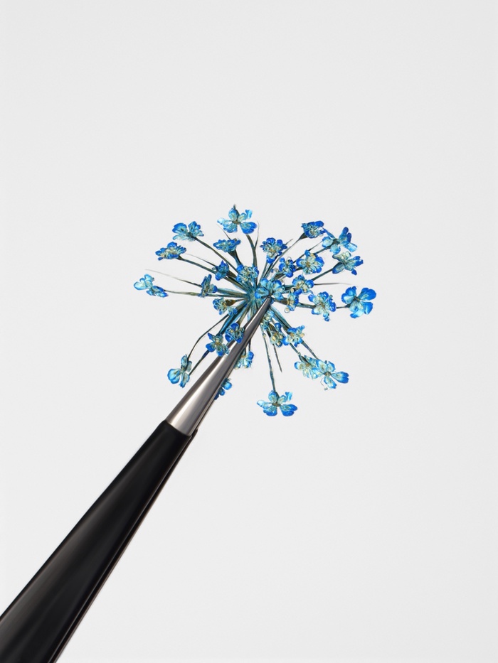 Сухоцветы для декора, 12 видов, в футляре, разноцветные