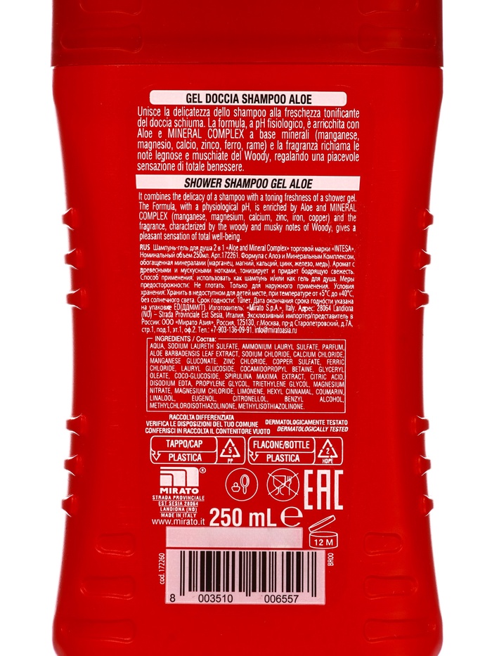 Шампунь-гель для душа INTESA Aloe and Mineral Complex, универсальный, 250 мл