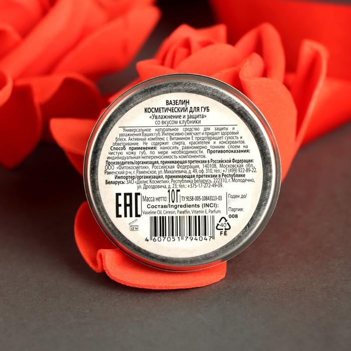 Вазелин косметический для губ «Увлажнение и защита» со вкусом клубники, 10 г