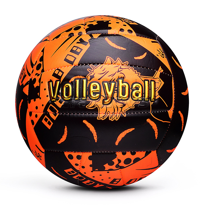 Мяч волебойбольный