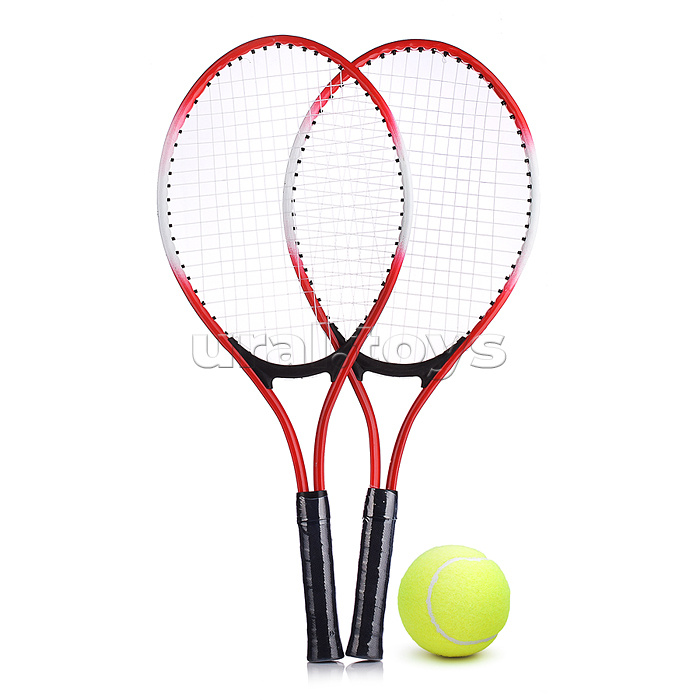 Набор теннис, в ассортименте, в сумке