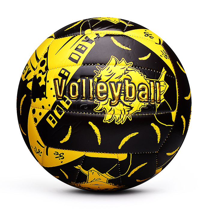 Мяч волебойбольный